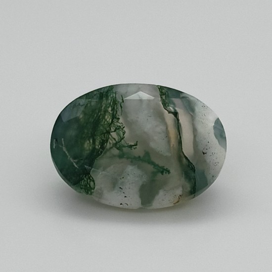 Tree Agate 7.42 Ct Good Quality Tree Agate 7.42 Ct Good Quality